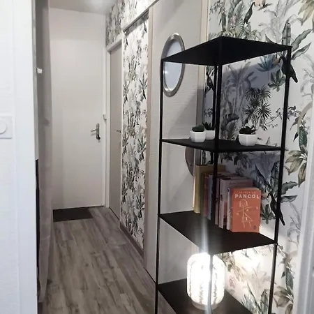 Joli Appartement T2 Tres Bien Situe, Parking Couvert Lourdes Exterior photo