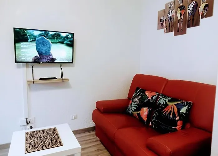 Joli Appartement T2 Tres Bien Situe, Parking Couvert
